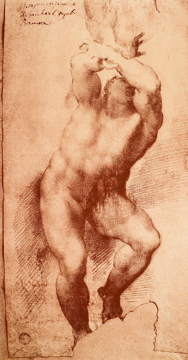 Studium jednej z postaci Sądu Ostatecznego, rysunek Michała Anioła. Gallerie dellAccademia, Wenecja autorstwa Michelangelo Buonarroti