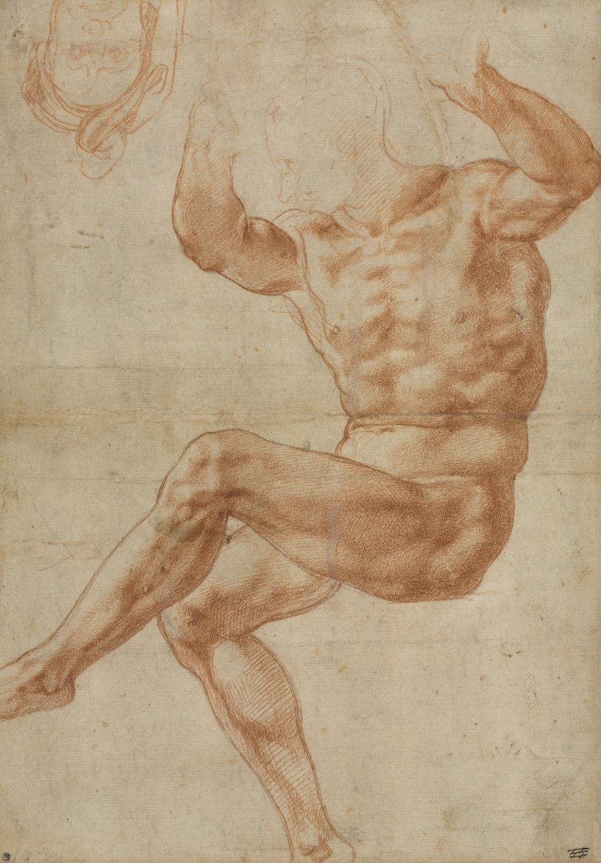 Studium dla nagiej młodzieży nad prorokiem Danielem, do sufitu Sykstyńskiego, 1510-11 autorstwa Michelangelo Buonarroti