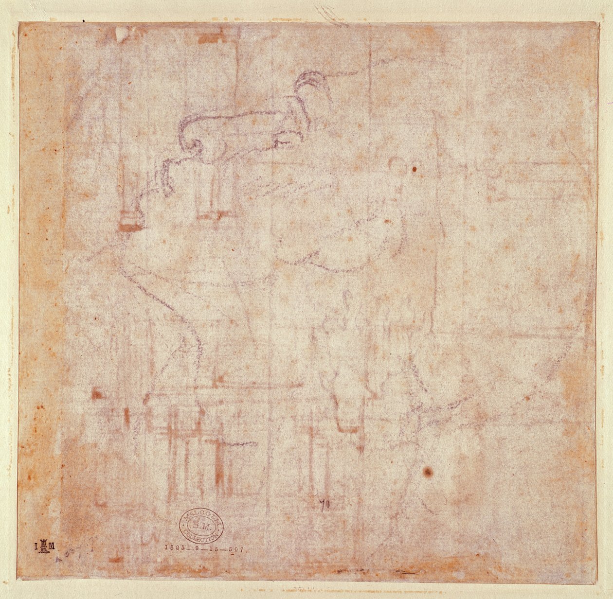 Studium głowy, 1525-26 (czarna kreda na papierze) (verso) (recto patrz 191779) autorstwa Michelangelo Buonarroti