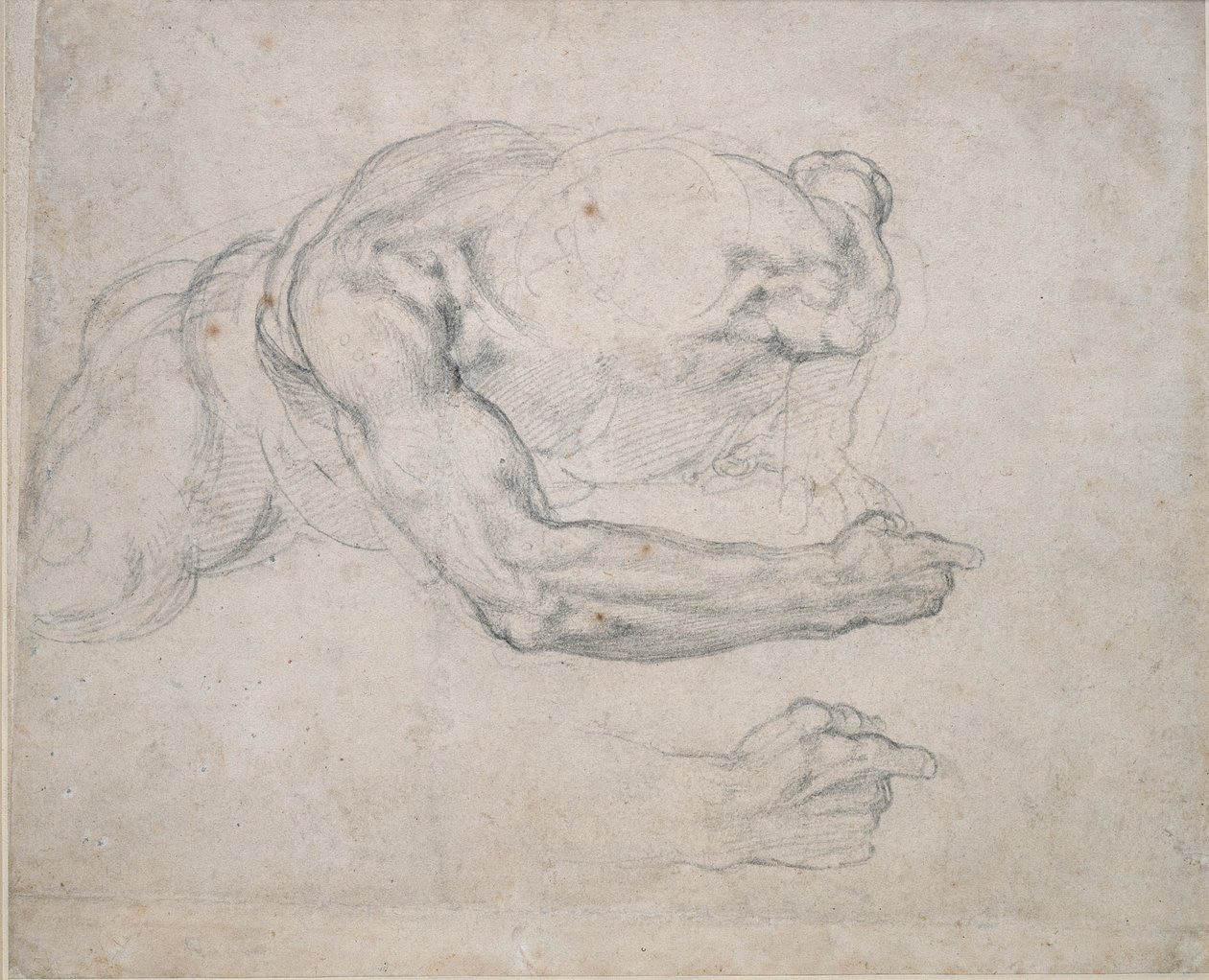 Studium człowieka powstającego z ziemi, XVI wiek autorstwa Michelangelo Buonarroti