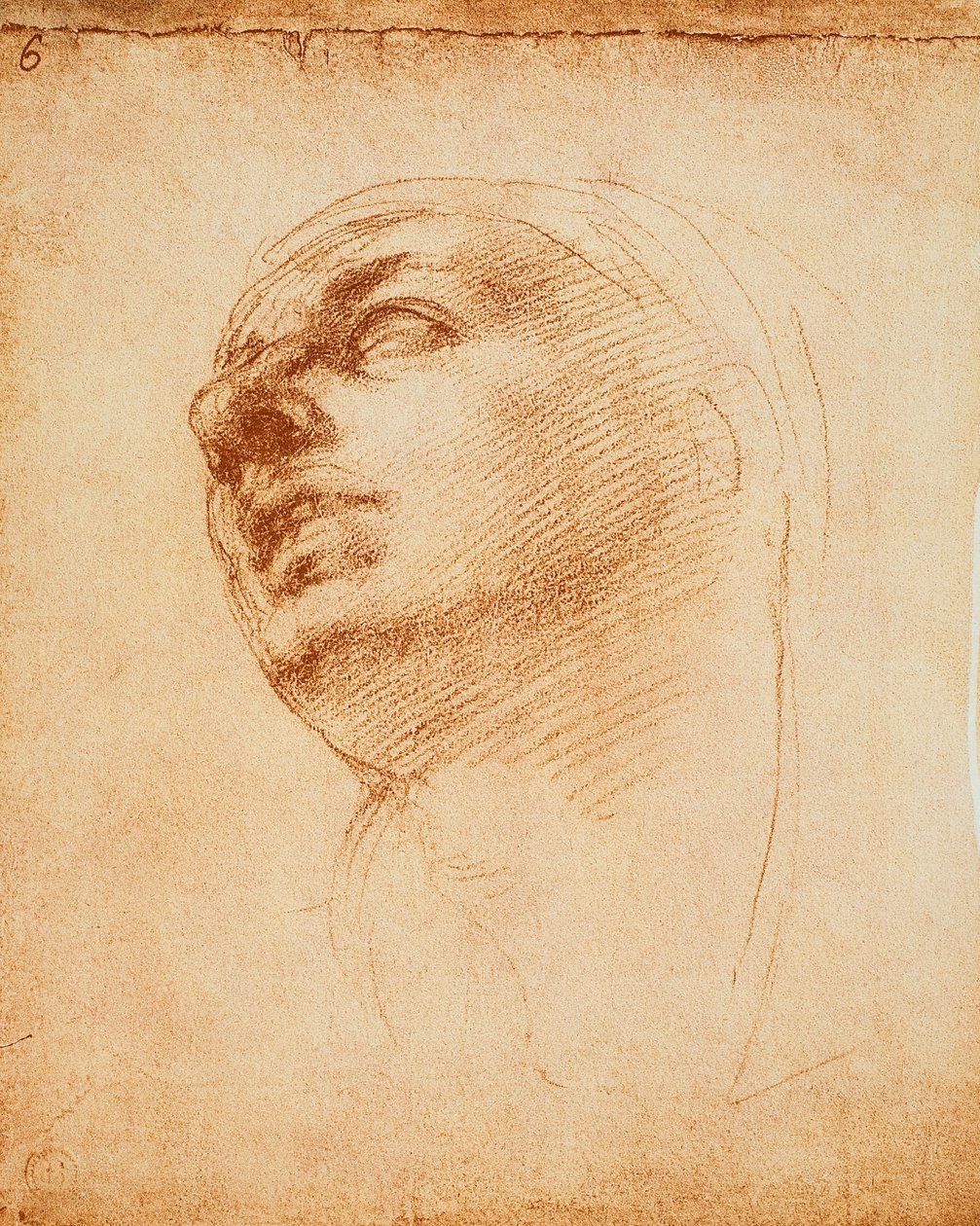 Studium twarzy, rysunek Michała Anioła. Casa Buonarroti, Florencja autorstwa Michelangelo Buonarroti