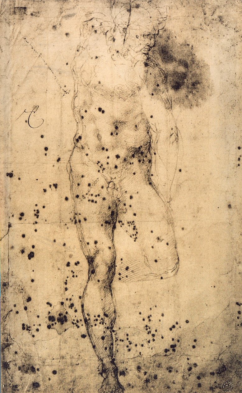 Studium aktu męskiego z uniesioną lewą nogą; rysunek Michała Anioła. Musée du Louvre, Paryż autorstwa Michelangelo Buonarroti