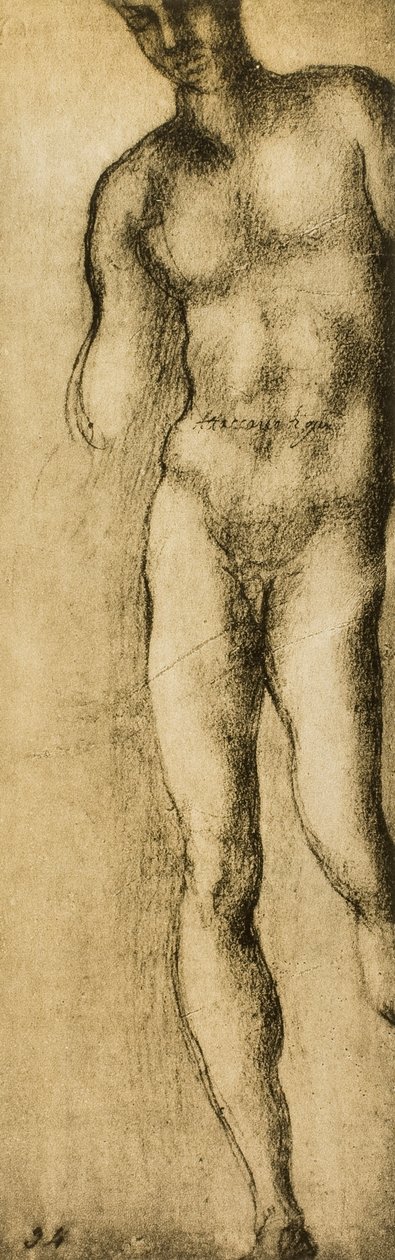 Studium postaci męskiej, rysunek Michała Anioła. Casa Buonarroti, Florencja autorstwa Michelangelo Buonarroti