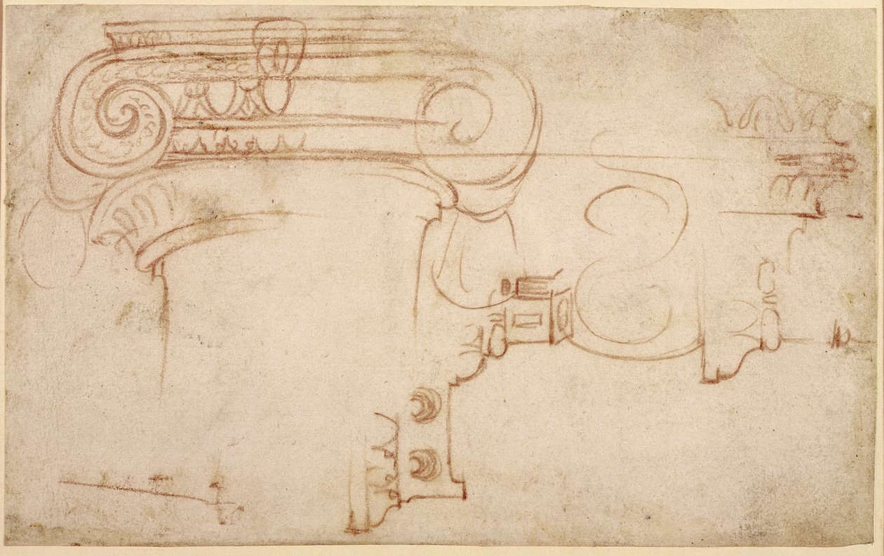 Studium kapitału jońskiego (czerwona kreda na papierze) (recto) autorstwa Michelangelo Buonarroti