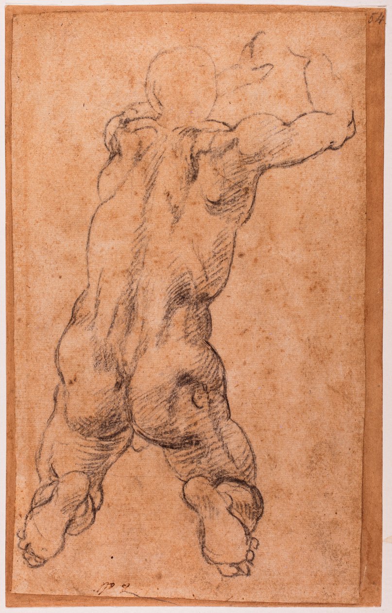 Studium klęczącego męskiego aktu autorstwa Michelangelo Buonarroti
