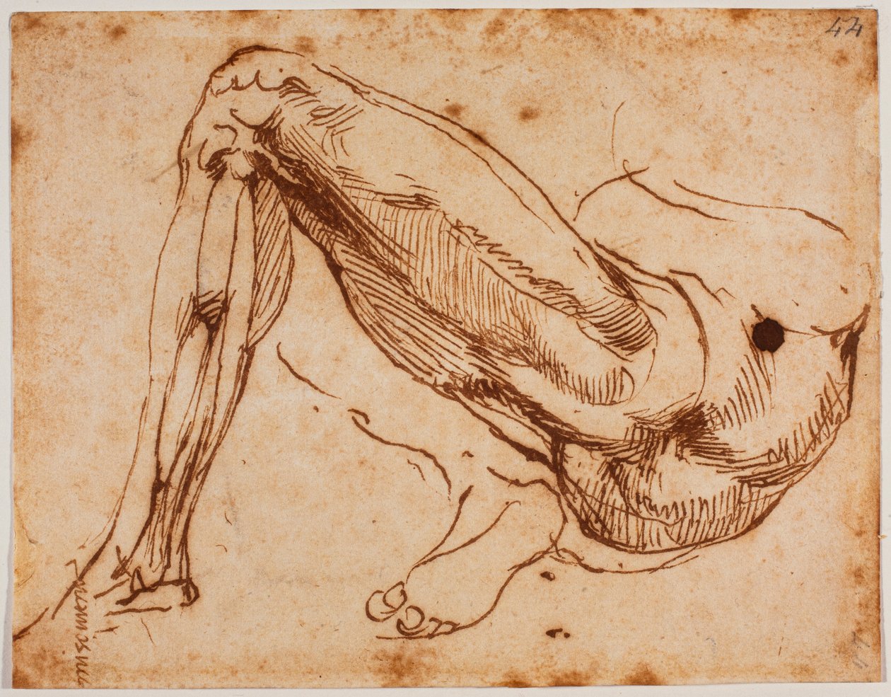 Badanie nóg autorstwa Michelangelo Buonarroti