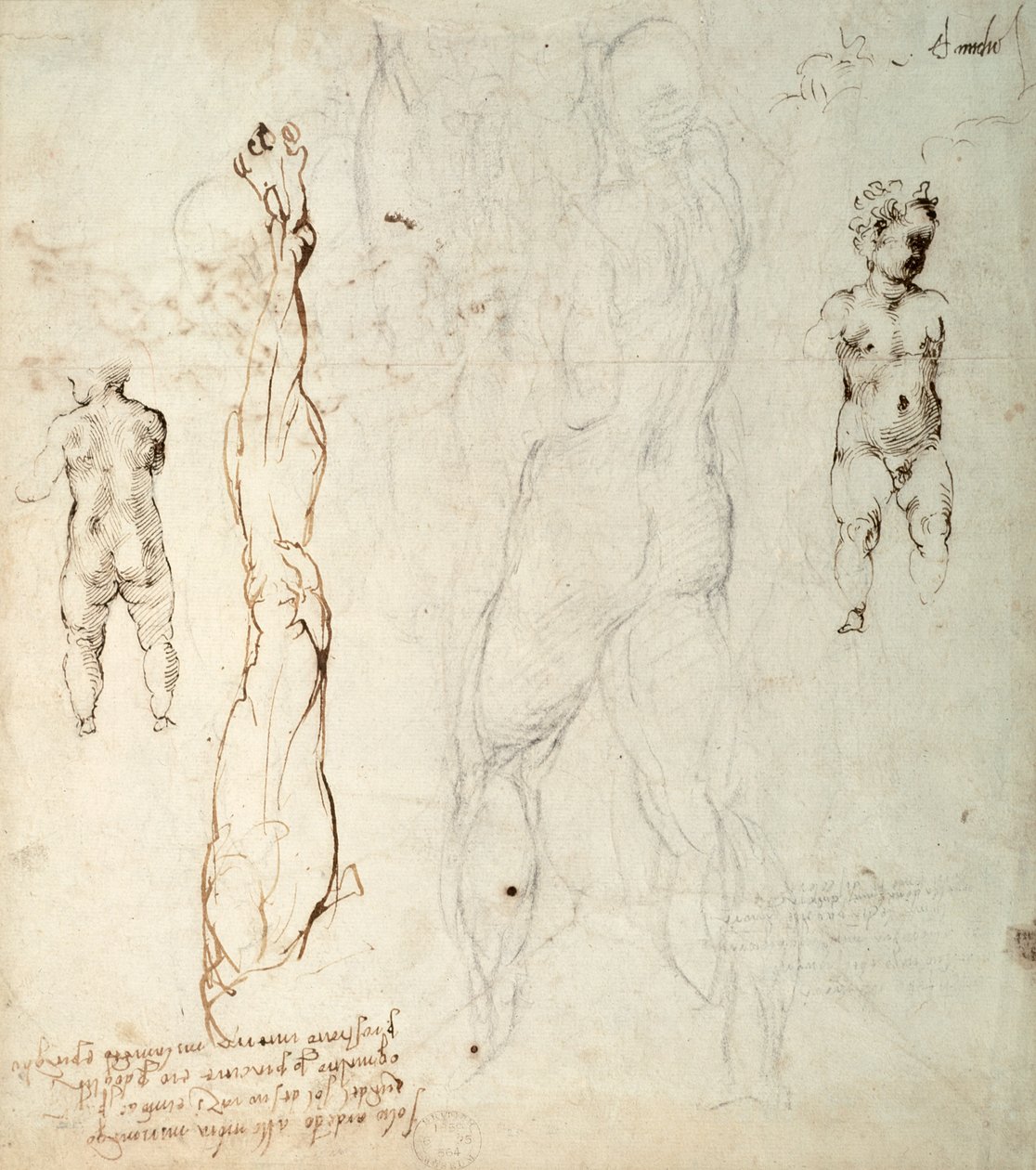 Studium Dzieciątka Jezus i rysunek anatomiczny z notatkami (czarna kreda i brązowy tusz na papierze) (verso) autorstwa Michelangelo Buonarroti