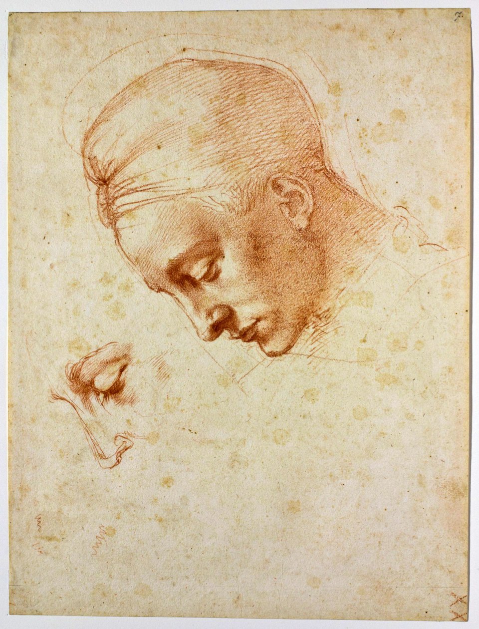 Studium naczelnika Ledy, ok. 1530 autorstwa Michelangelo Buonarroti