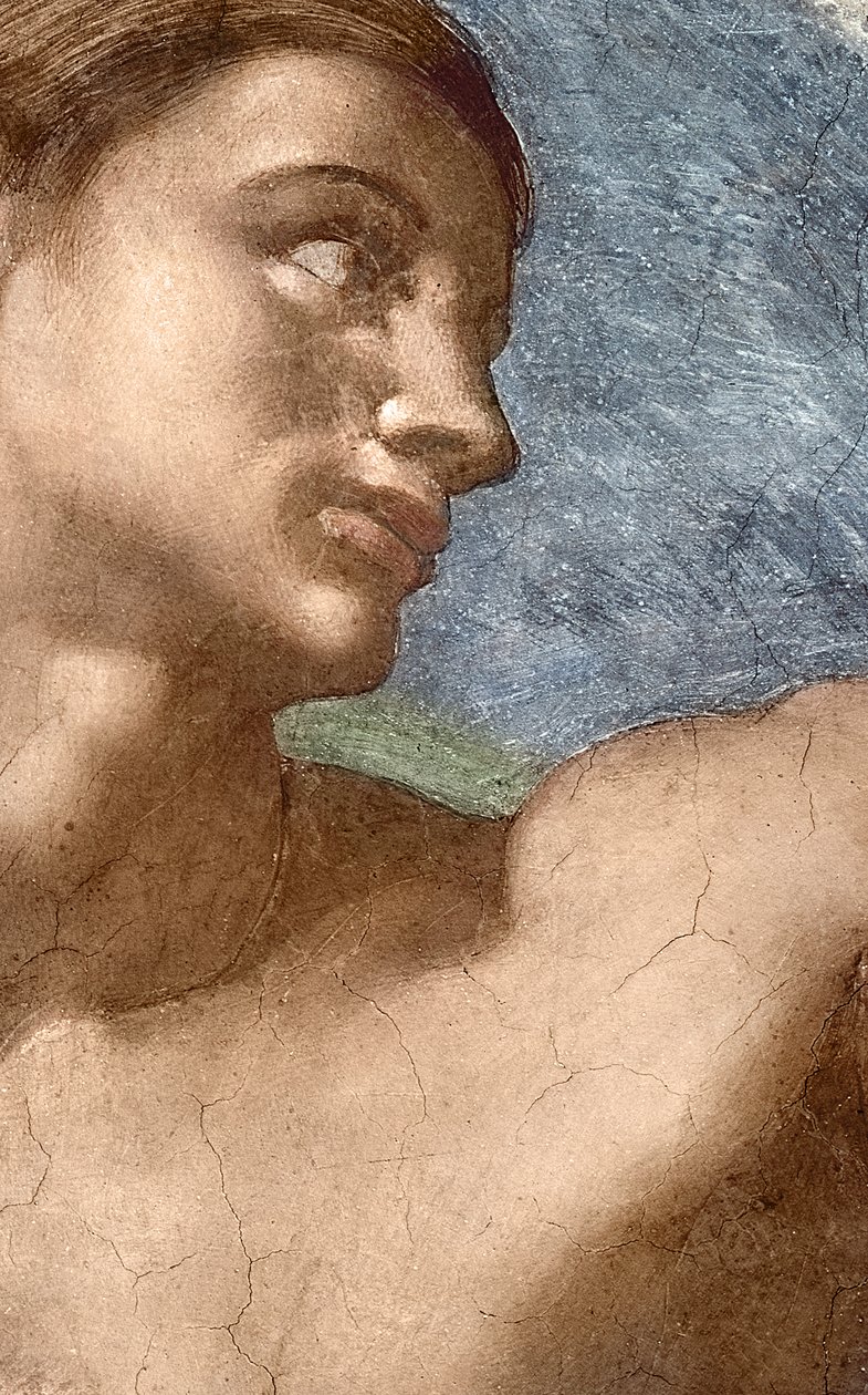 Stworzenie Adama, szczegół głowy Adama autorstwa Michelangelo Buonarroti