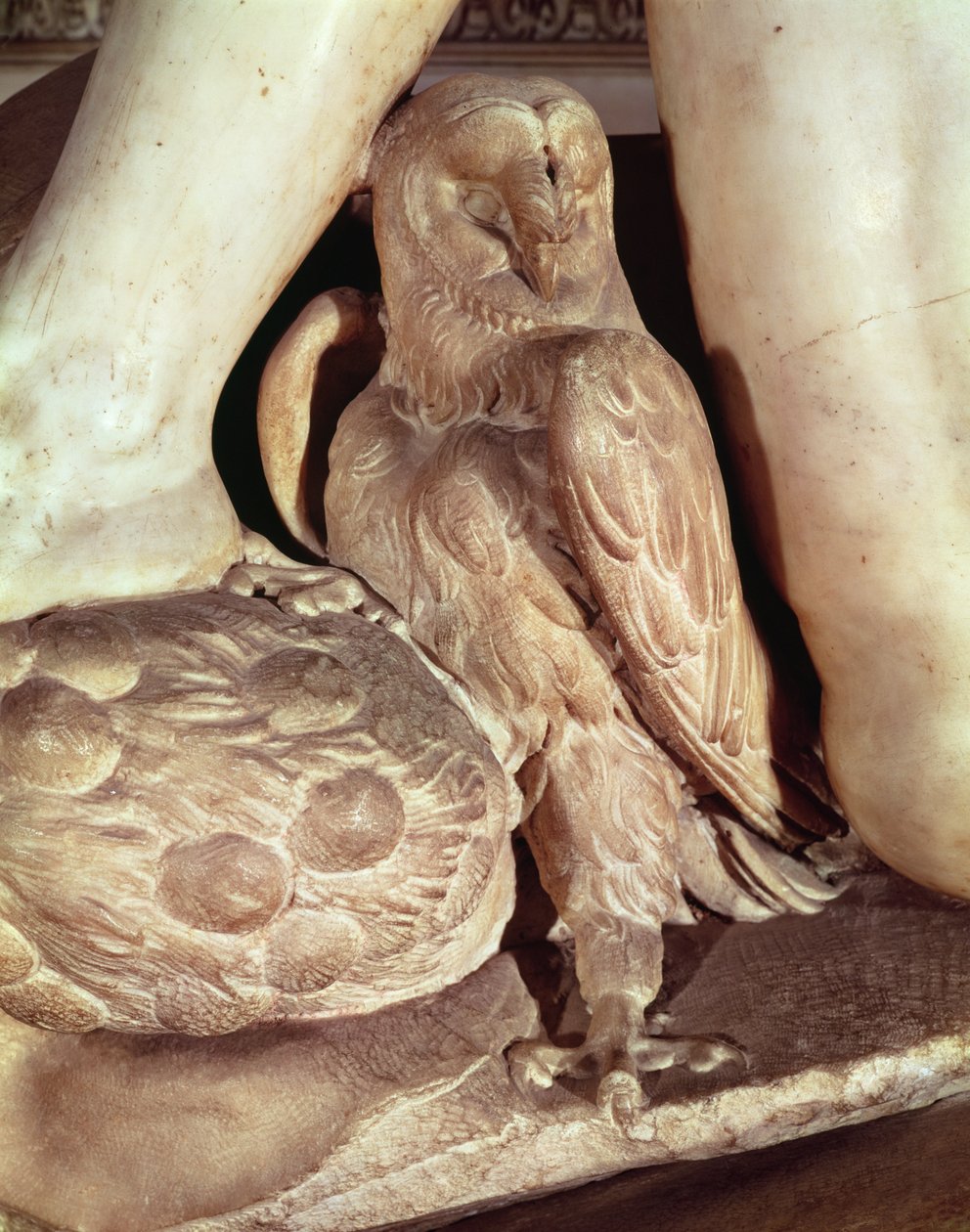 Grób Giuliano de Medici 1478-1516 fragment sowy pod nogą Nocy, 1520 marmur autorstwa Michelangelo Buonarroti