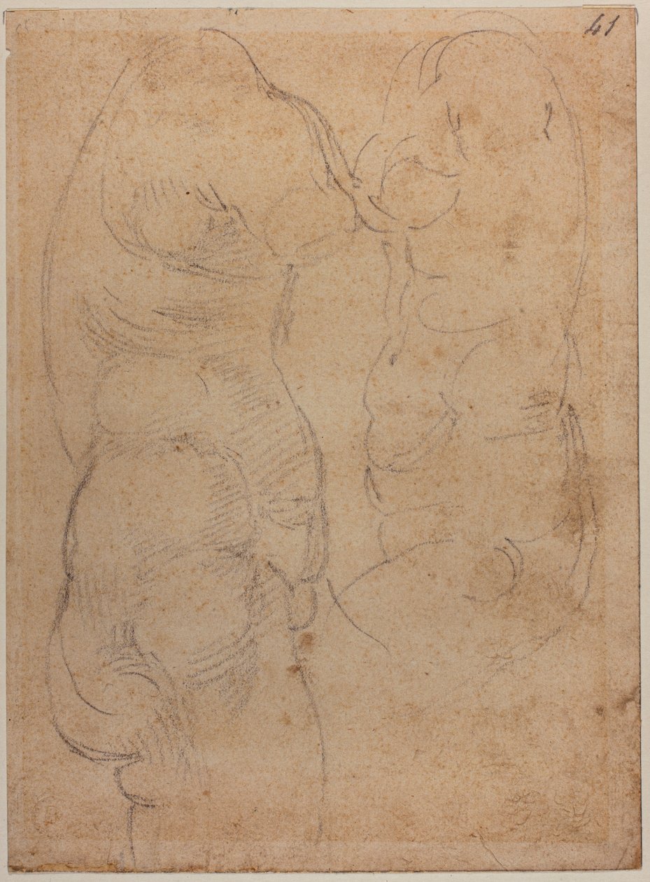 Dwa badania starożytnej Wenus autorstwa Michelangelo Buonarroti