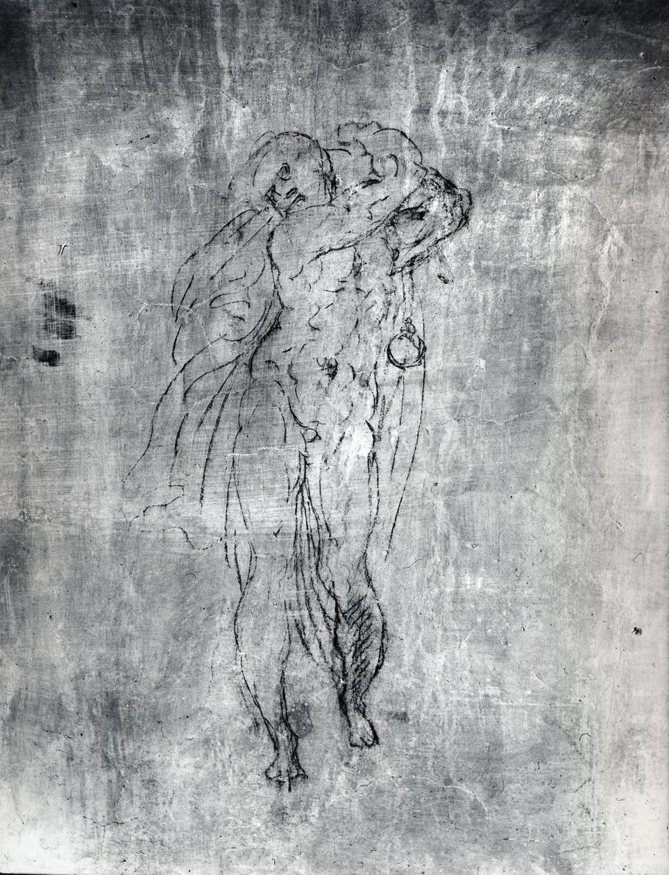 Rysunek ścienny przedstawiający postać męską, ok. 1530 (węgiel na tynku) autorstwa Michelangelo Buonarroti