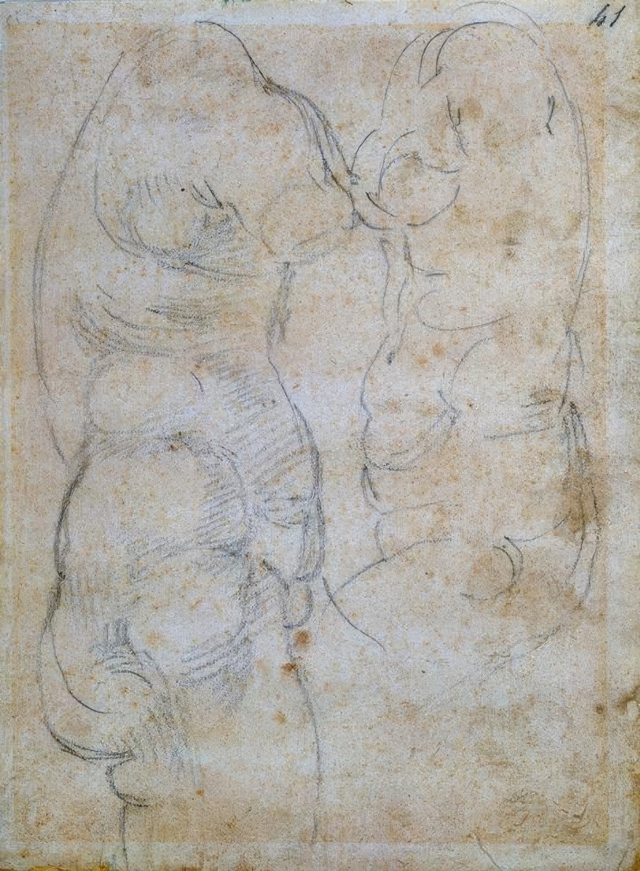 Dwa badania oparte na torsie starożytnej kobiety autorstwa Michelangelo Buonarroti