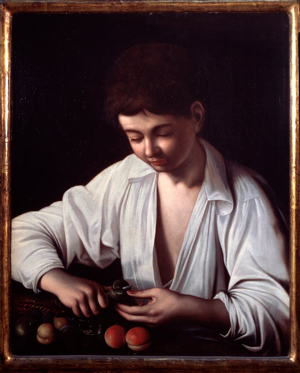 Chłopiec obierający owoc autorstwa Michelangelo Merisi da Caravaggio