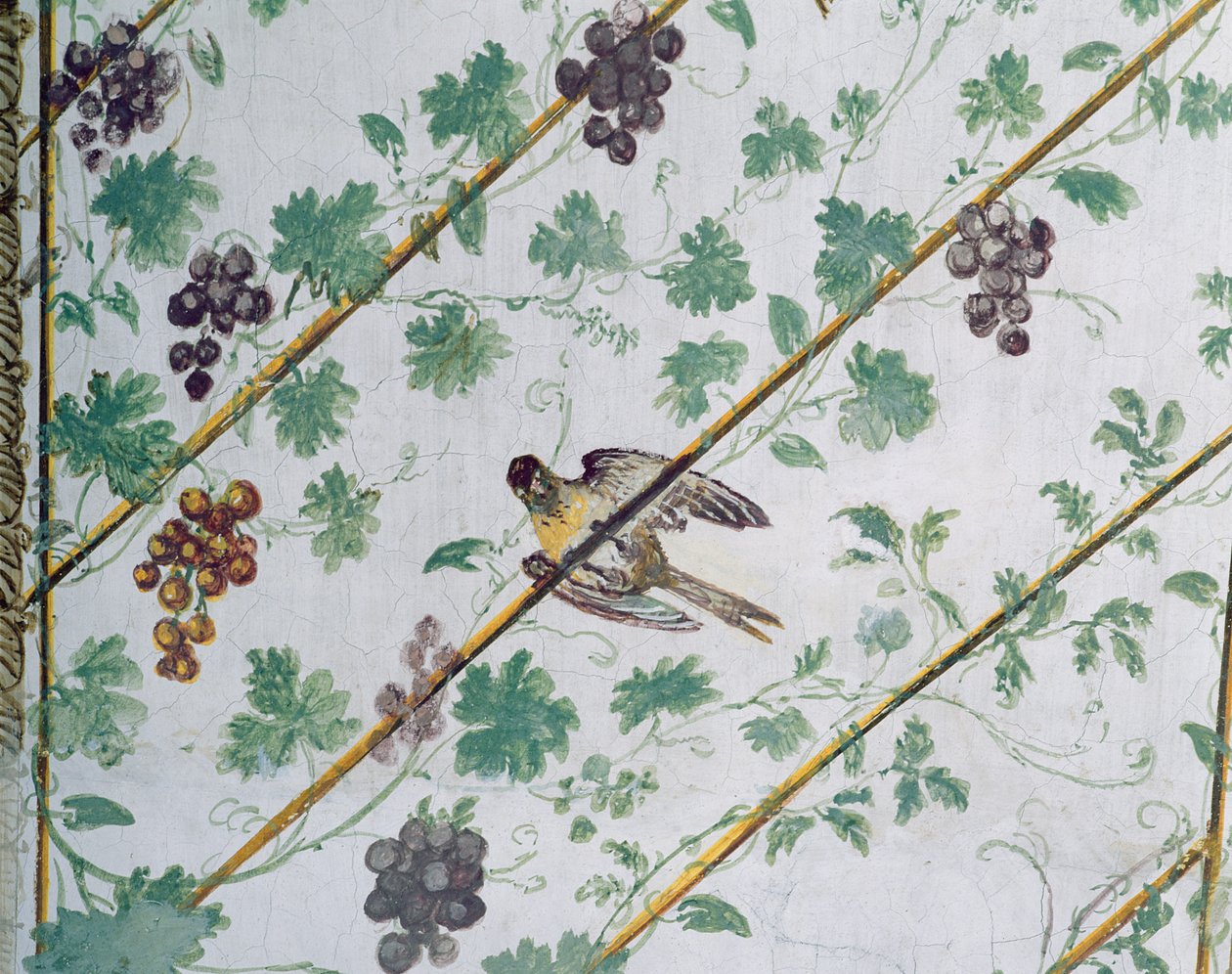 Fragment sklepienia piwnicy, Villa Medicea di Careggi fot autorstwa Michelozzo di Bartolommeo