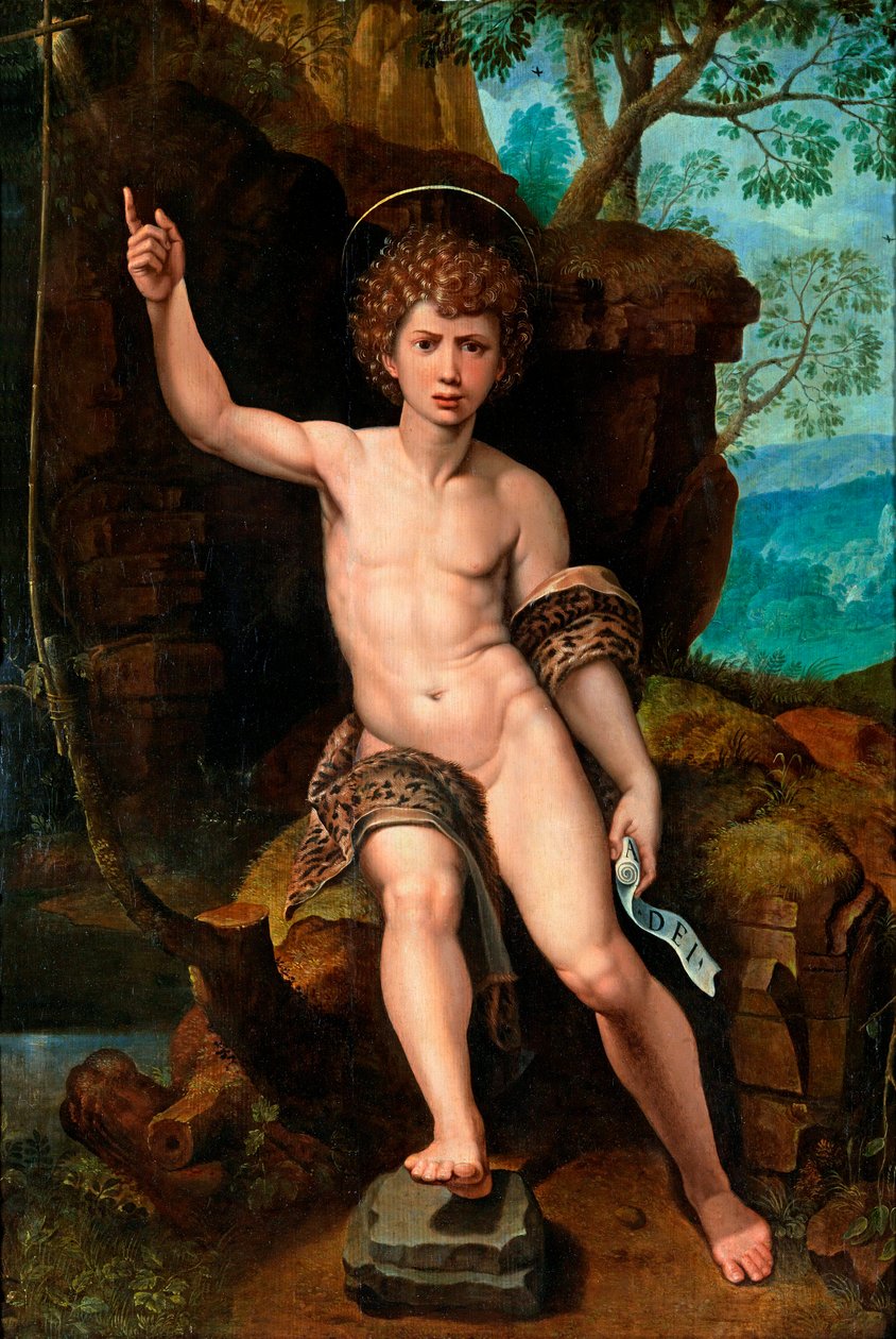 „Reprezentacja św. Jana Chrzciciela” (św. Jan Chrzciciel) Obraz Michaela Coxcie (Michiel Coxien) (De Coxien, De Coxcie, Coxius, Van Coxcie i Coxie) (1499-1592) XVI wiek Olej na drewnie Dim 104x73 cm Kolekcja prywatna autorstwa Michiel I Coxie or Coxcie