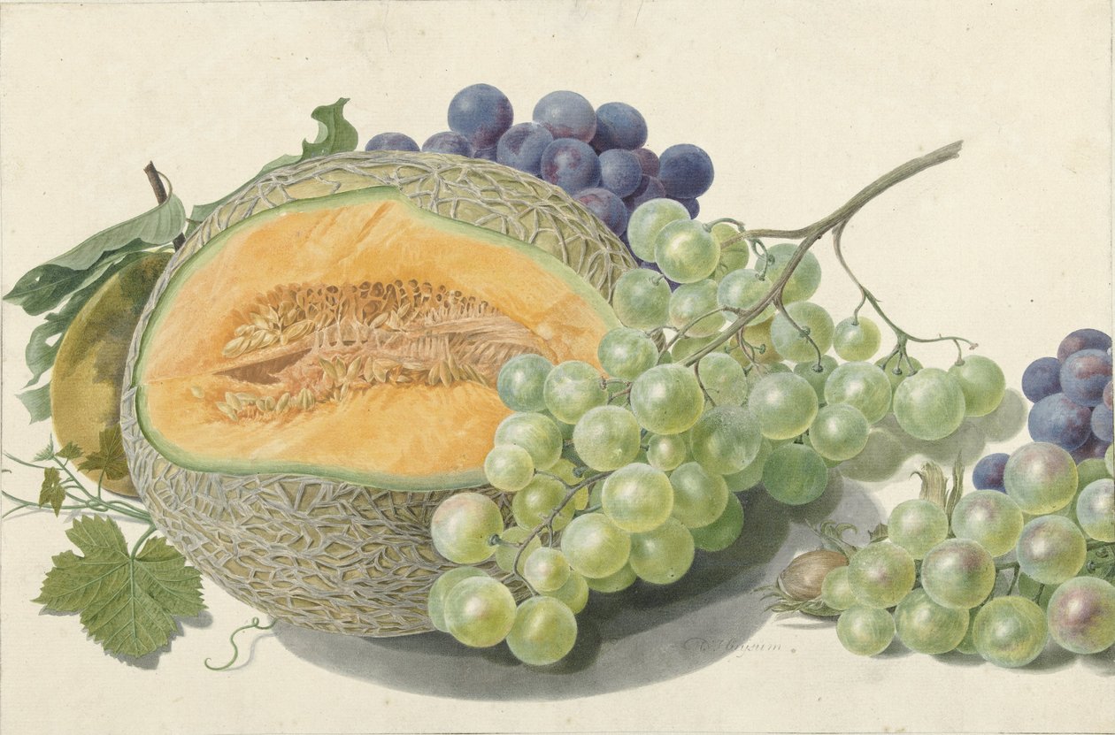 Melon, Kiście Winogrona, Brzoskwinia i Orzechy Laskowe autorstwa Michiel Van Huysum