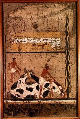 Ofiara pogrzebowa byka, z grobowca Iti (malowidło ścienne) autorstwa Middle Kingdom Egyptian