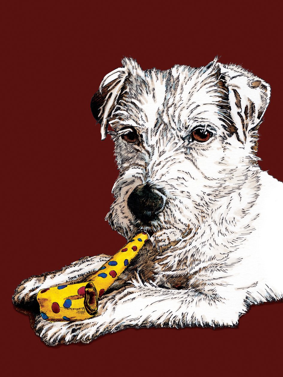 Urodziny Parson Dog na czerwonym tlenie, 2020 autorstwa Mike Davis