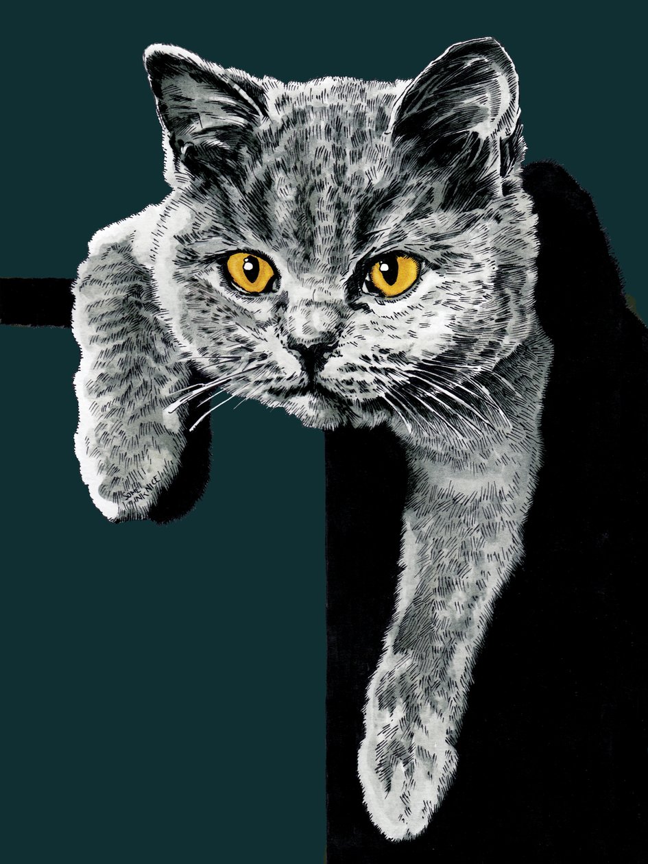 Flora The Kitten na Deep Cyan, 2020 autorstwa Mike Davis