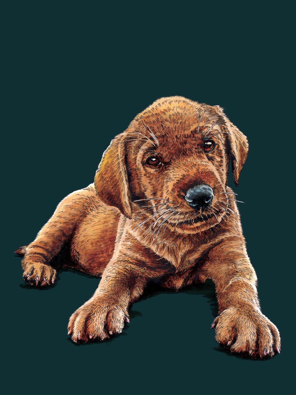 Marge The Puppy na Deep Cyan, 2021 autorstwa Mike Davis