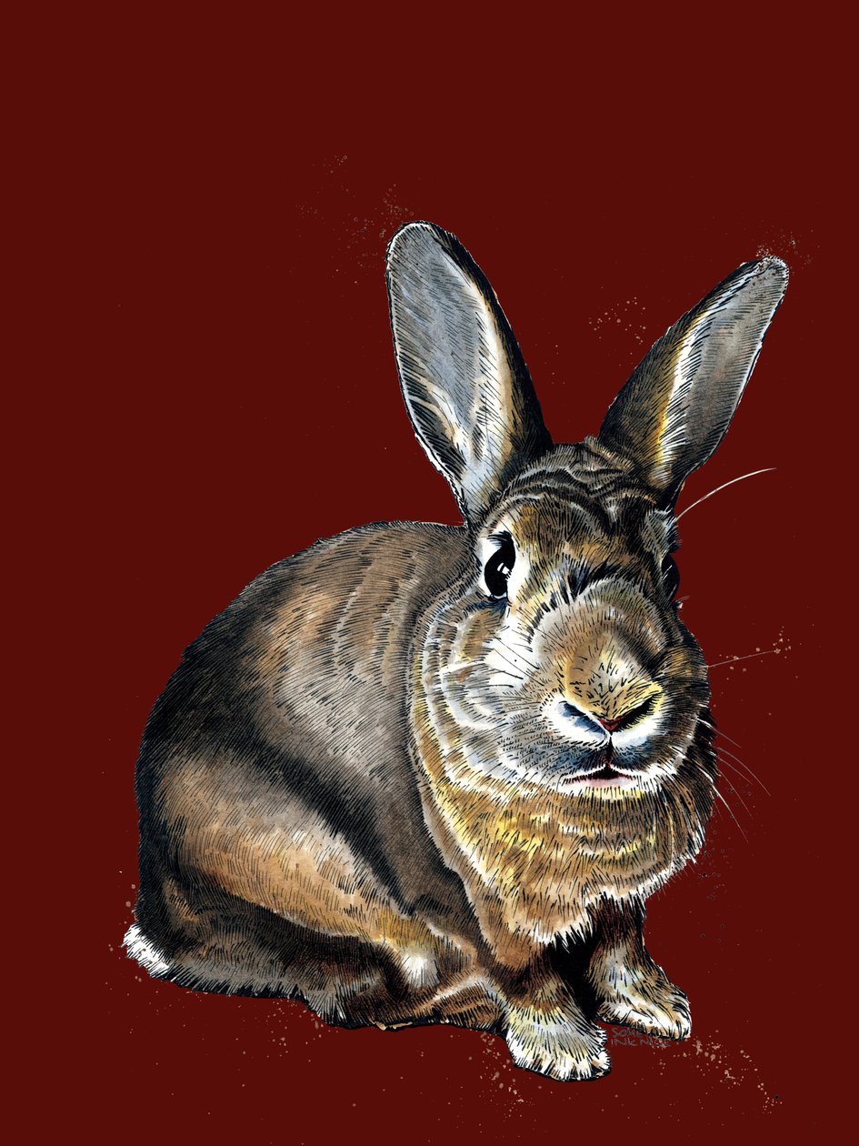 Meg The Bunny na czerwonym tlenie, 2020 autorstwa Mike Davis