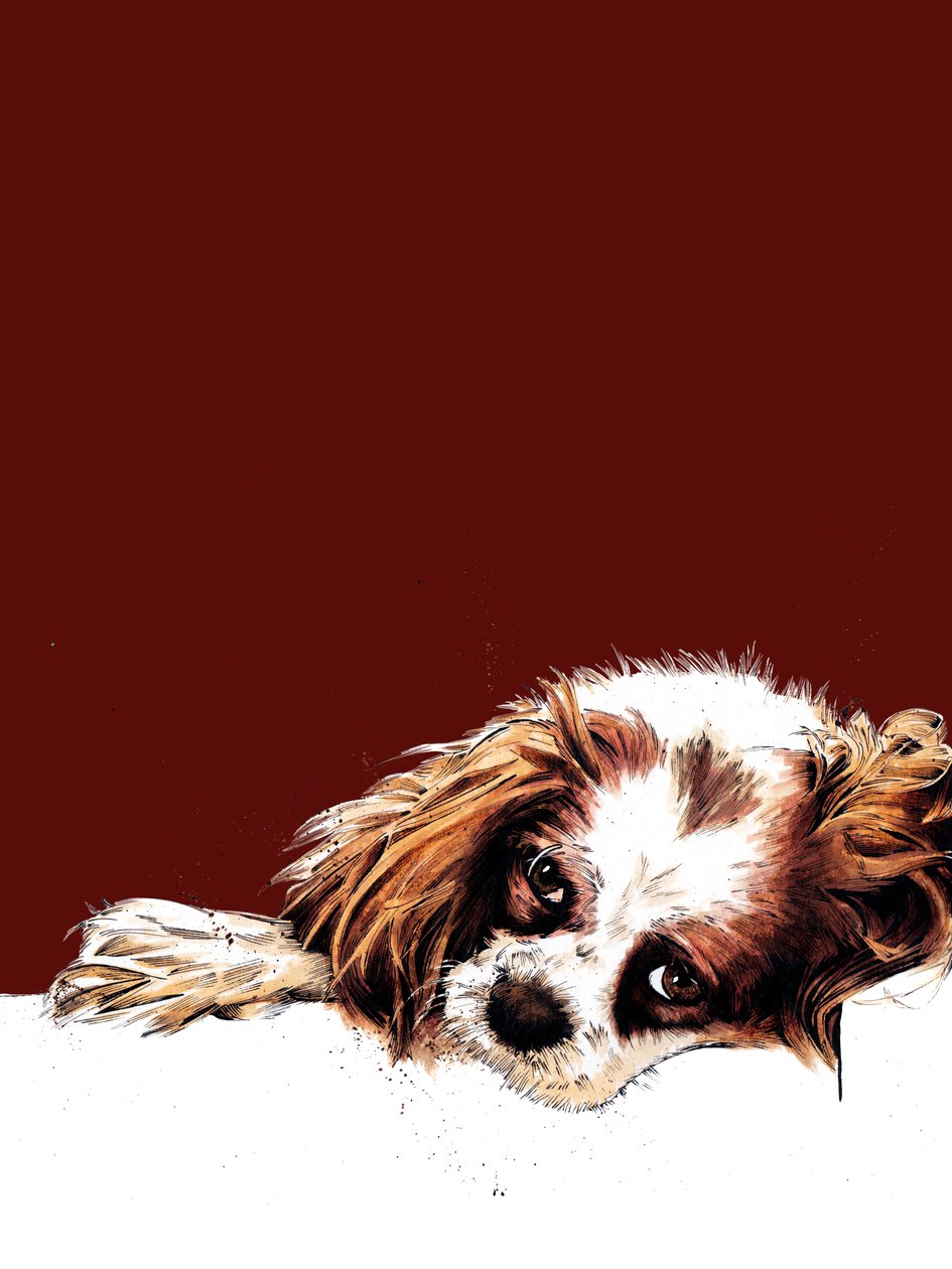 Meg spaniel na czerwonym tlenie, 2020 autorstwa Mike Davis