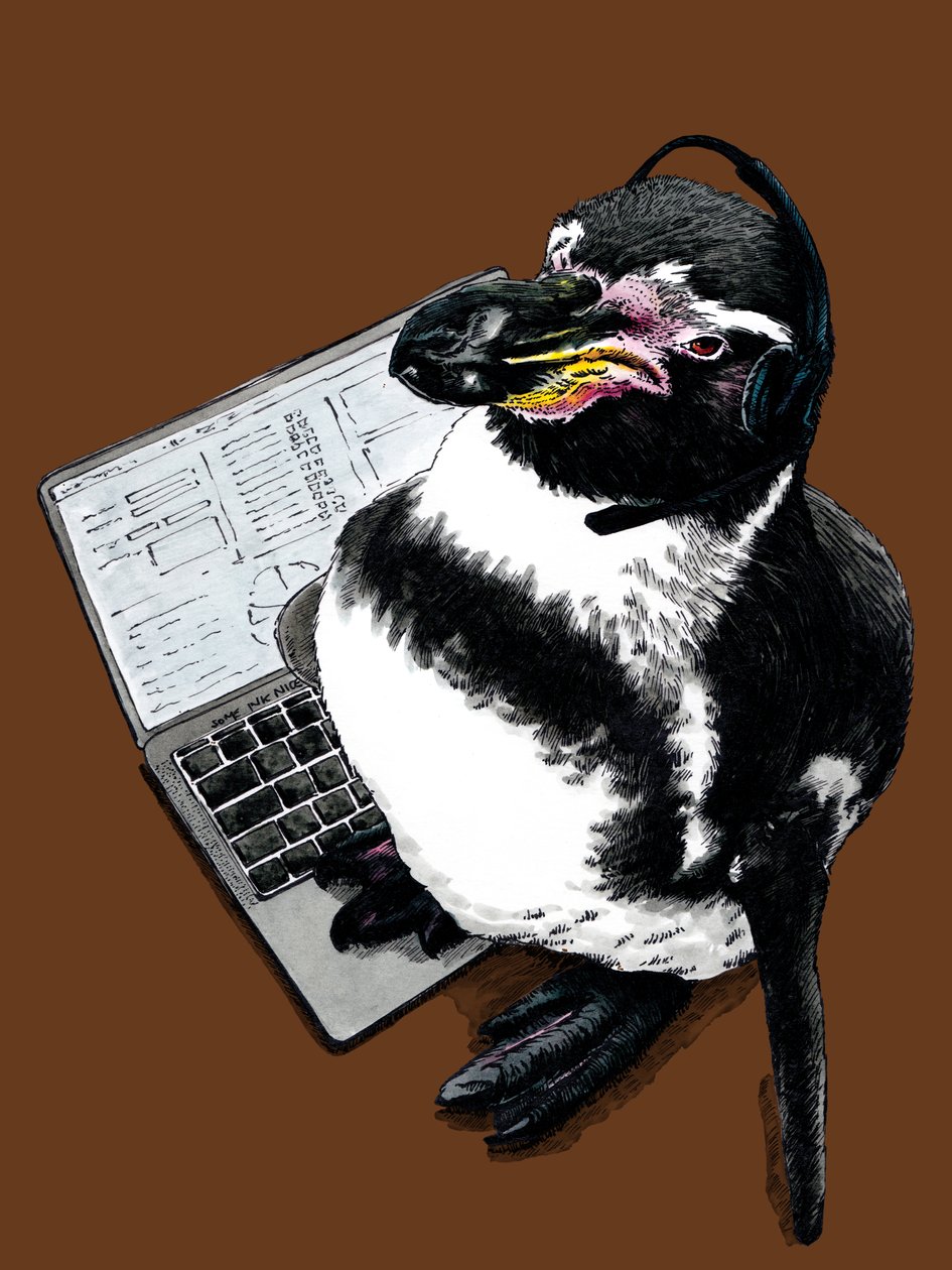 Nowy Job Penguin na Burnt Orange, 2020 autorstwa Mike Davis