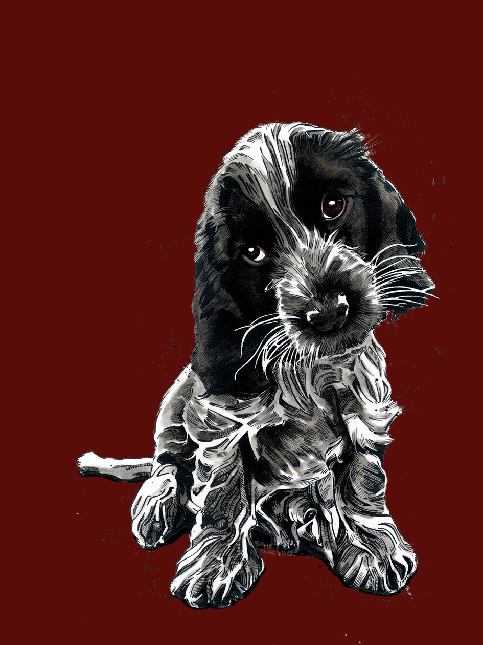 Rosie The Cocker Spaniel na Red Oxide, 2020 autorstwa Mike Davis