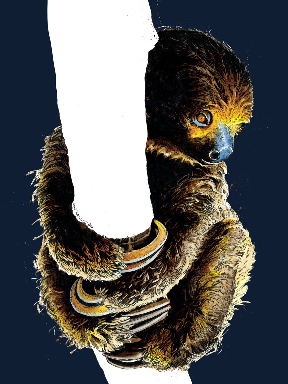 Talita Leniwiec na Midnight Blue, 2020 autorstwa Mike Davis
