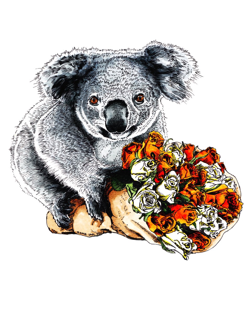 Dzięki Koala na białym, 2020 autorstwa Mike Davis