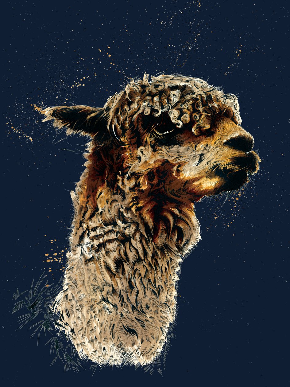 Alpaka na Midnight Blue, 2020 autorstwa Mike Davis