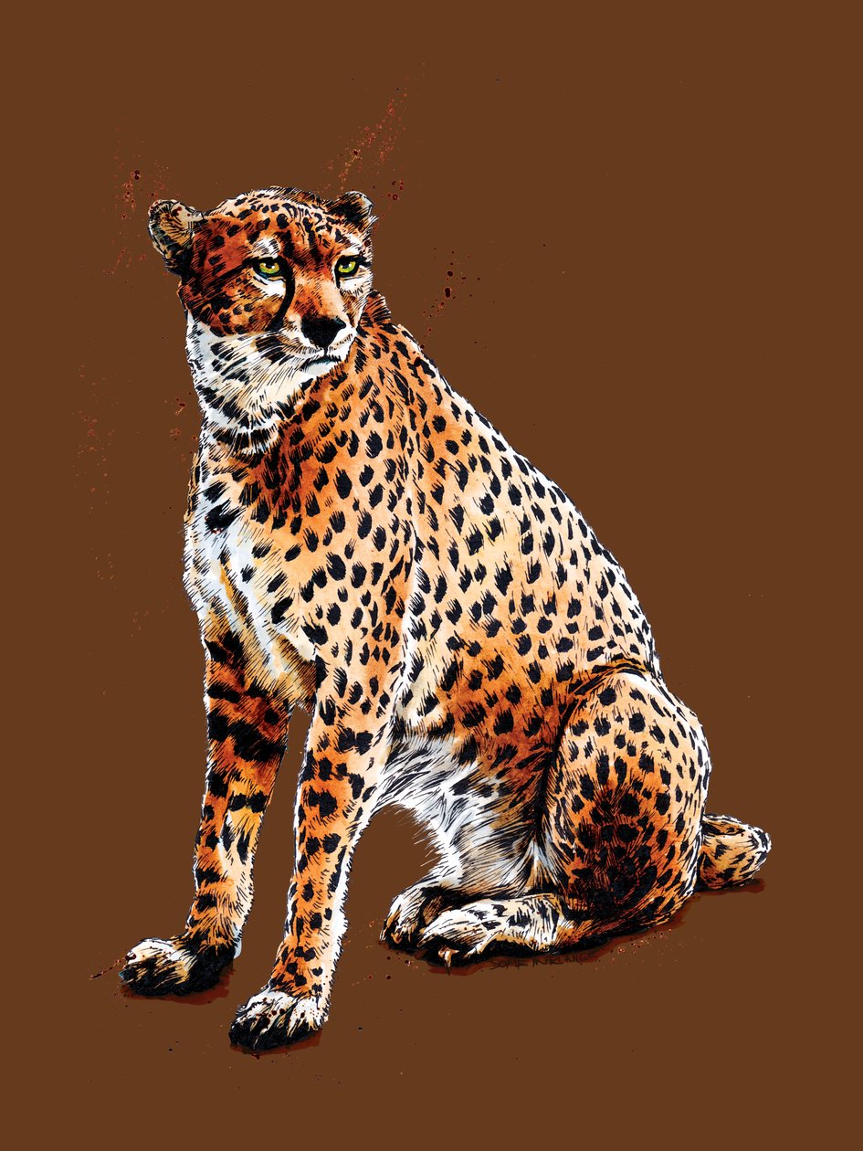Gepard na przypalonej pomarańczy, 2020 autorstwa Mike Davis