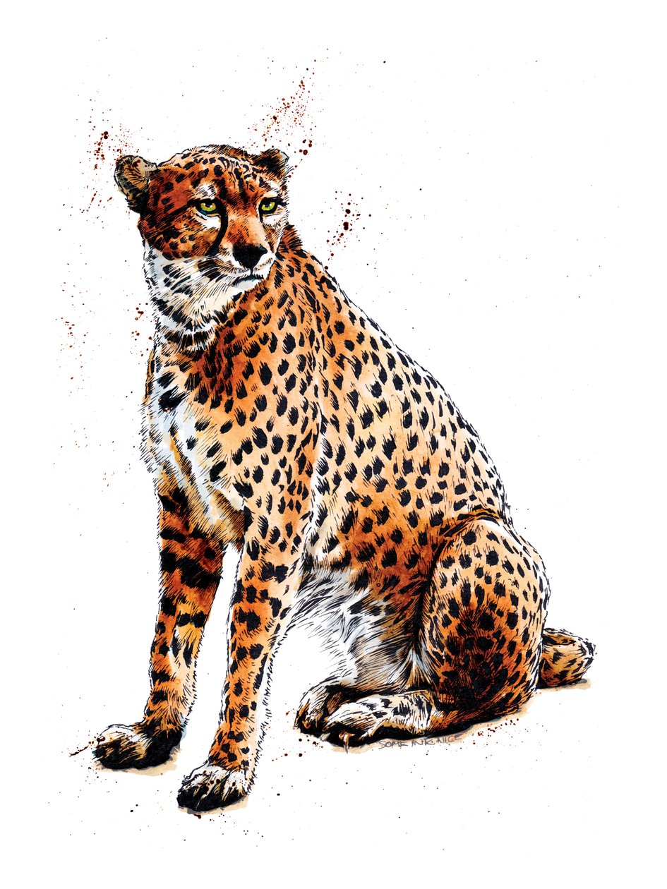 Gepard na białym, 2020 autorstwa Mike Davis