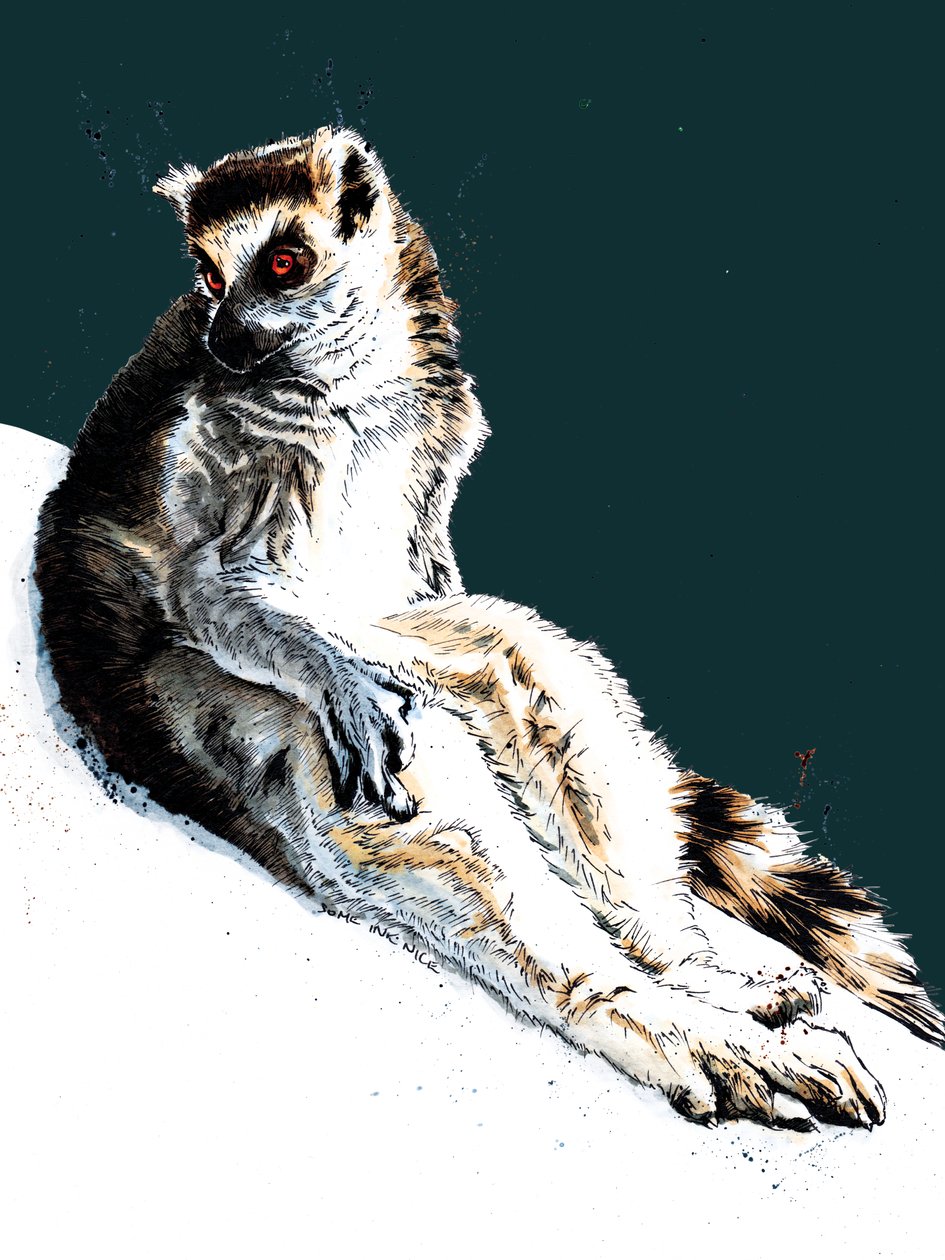 Lazy Lemur na Midnight Blue, 2020 autorstwa Mike Davis