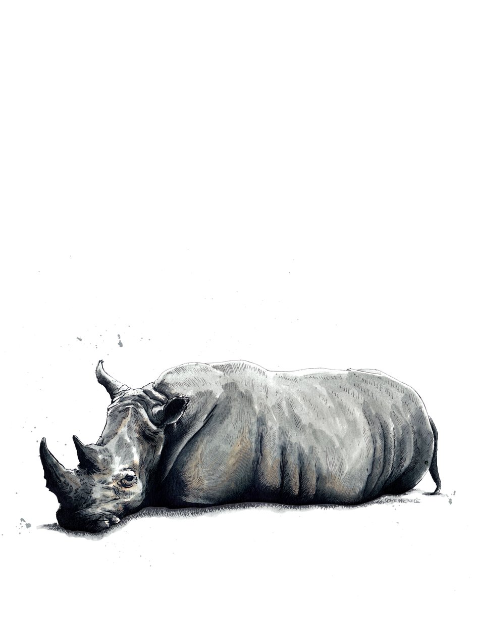 Nosorożec na białym, 2019 autorstwa Mike Davis