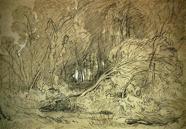 Polana w lesie (czarno-biała kreda na papierze) autorstwa Miles Edmund Cotman