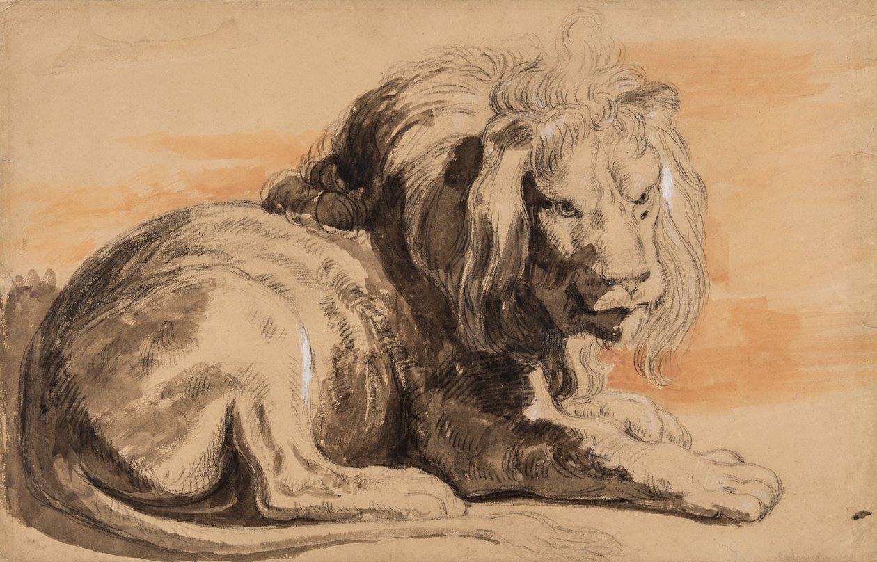 Lew Rubensa, ok. 1840 (kreda, toaleta i gwasz na beżowym papierze) autorstwa Miles Edmund Cotman