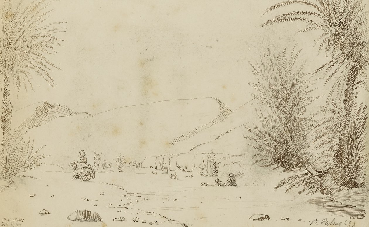 Palmy autorstwa Miner Kilbourne Kellogg