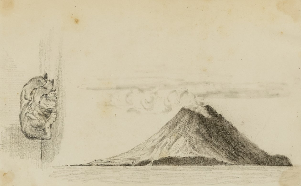 Stromboli/śpiący pies autorstwa Miner Kilbourne Kellogg