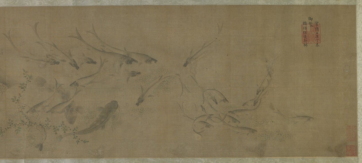 Ryby i wodne chwasty autorstwa Ming Dynasty Chinese School