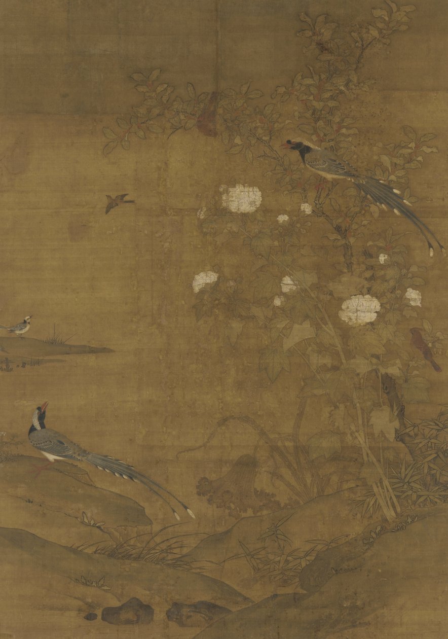 Sroki, Jemiołuszka, Hibiskus i Cynamon, ok. 1400 autorstwa Ming Dynasty Chinese School