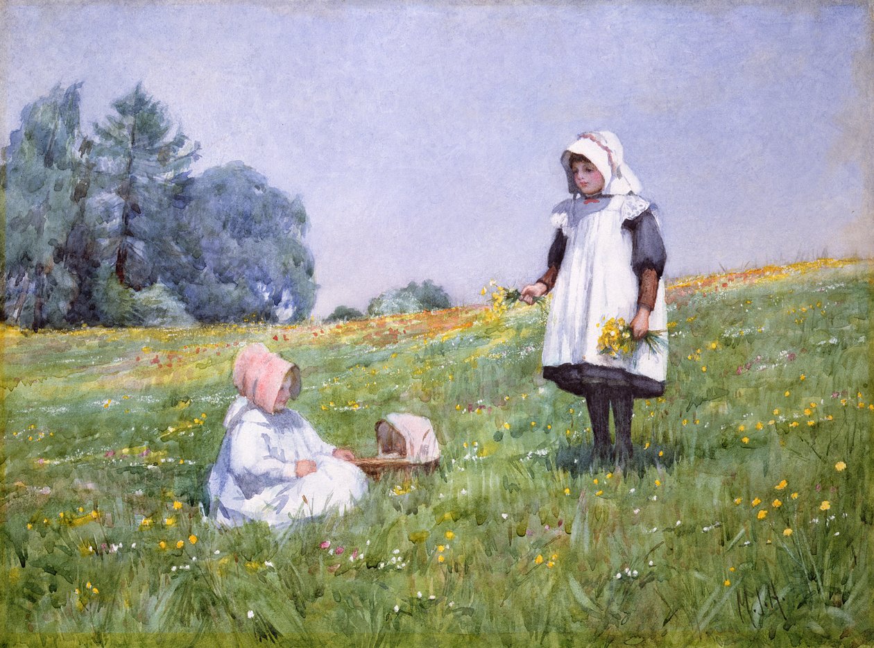 Jaskry i stokrotki (wc na papierze) autorstwa Minnie Jane Hardman