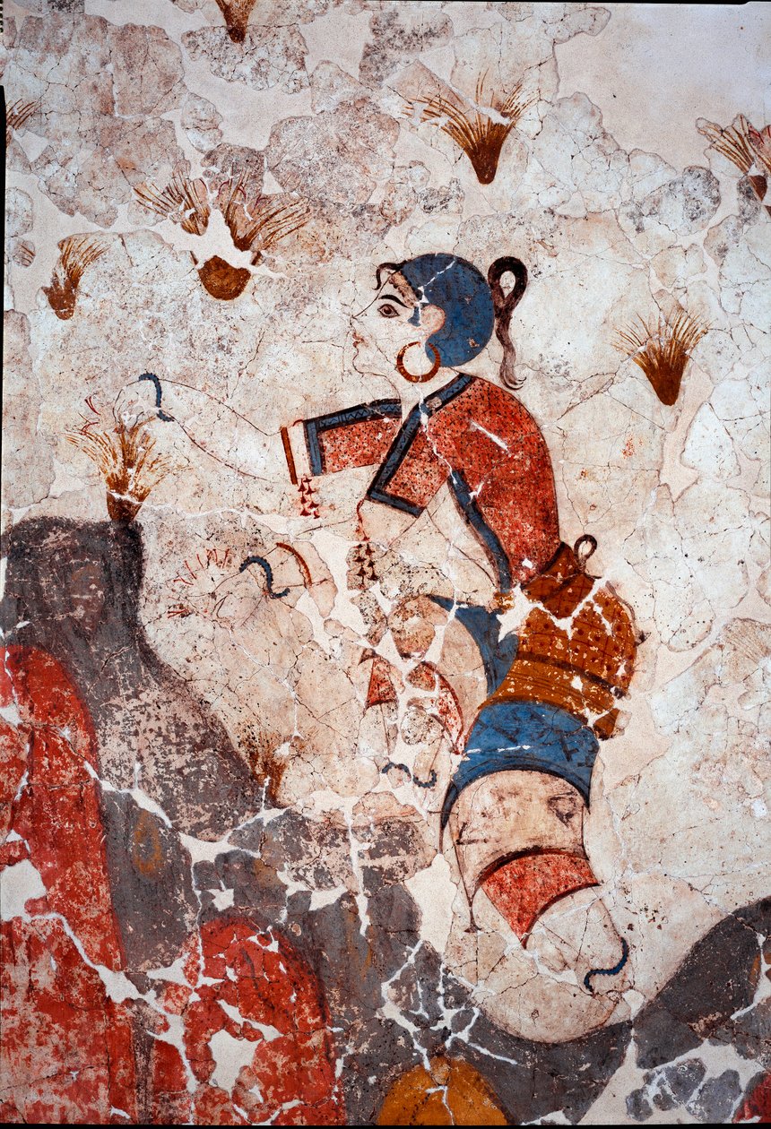 Cywilizacja minojska: kobiety zbierające szafran. Fragment fresku z lustra basenu Xeste 3 w Akrotiri (Thera), Santorini. Ciemny. 244x266 cm XVI wiek pne Santorini, Kolekcja fresków Akrotiri a Thera - cywilizacja minojska: kobiety zbierające szafran autorstwa Minoan