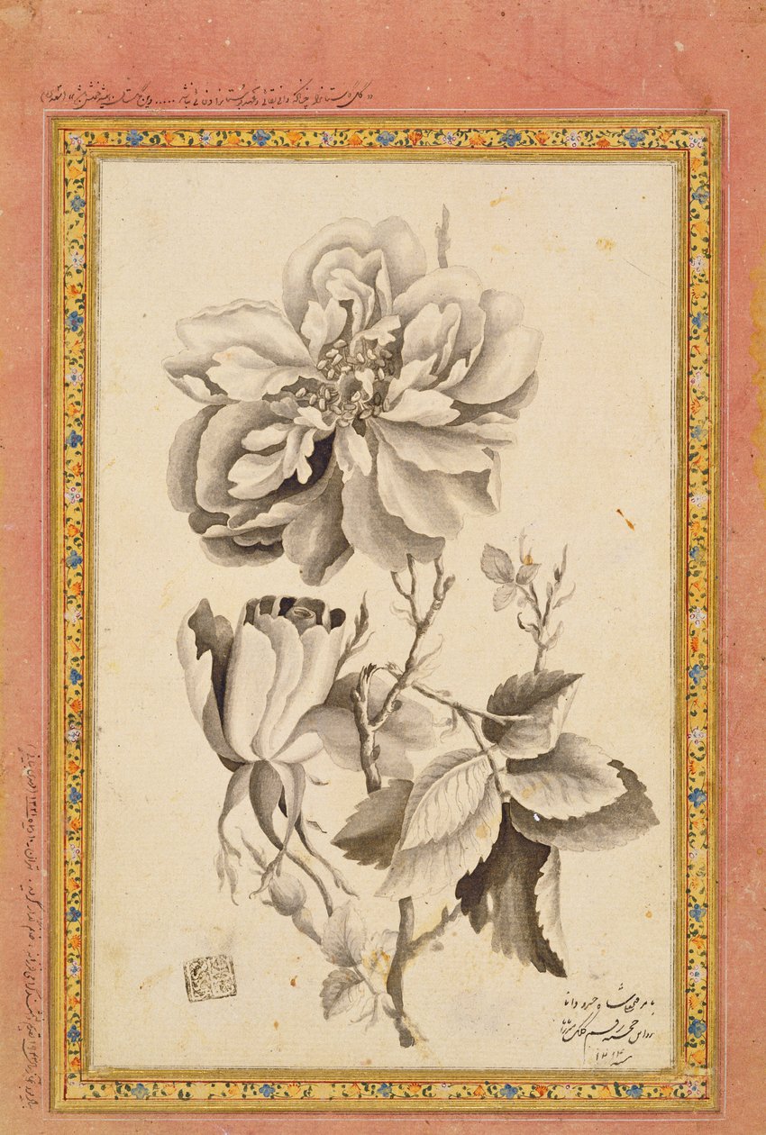 Róża, 1799-1800 (pranie tuszem na papierze) autorstwa Mirza Baba