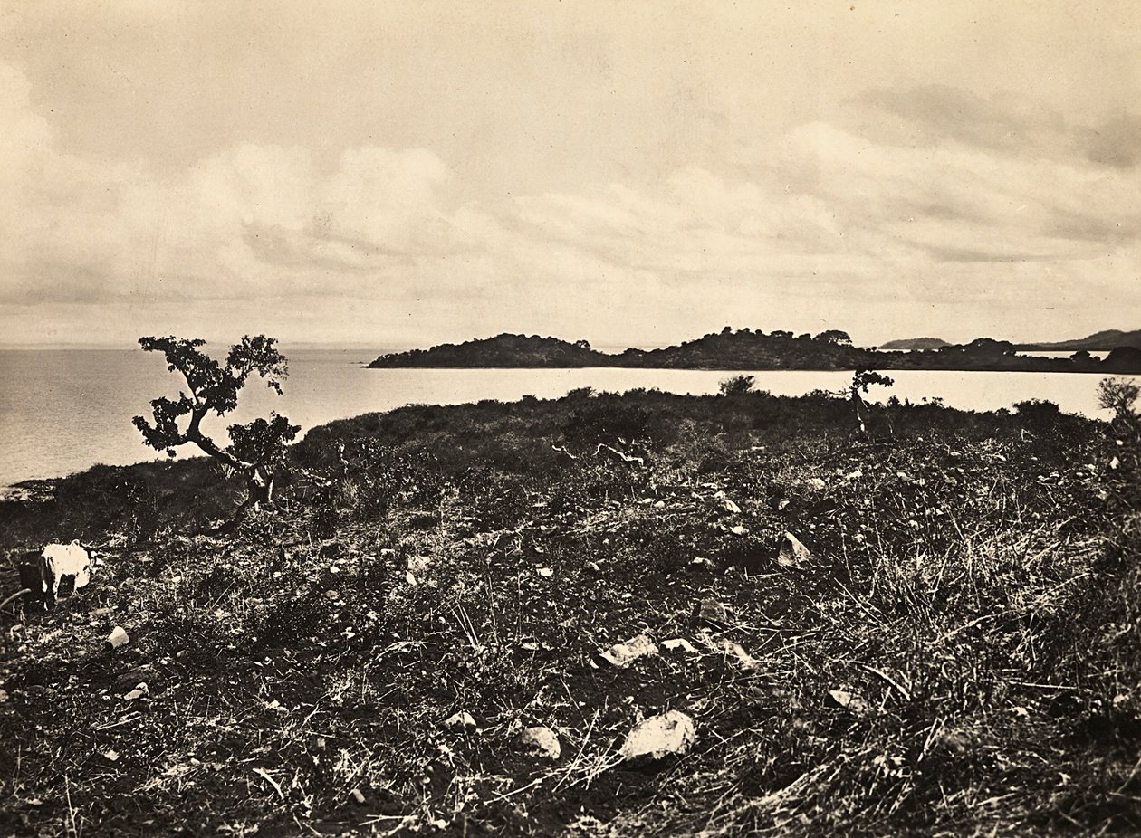 „Budowanie imperium” w epoce faszystowskiej: Jezioro Tana. Etiopia, 09.05.1936 (zdjęcie czarno-białe) autorstwa Modestino Baldinetti