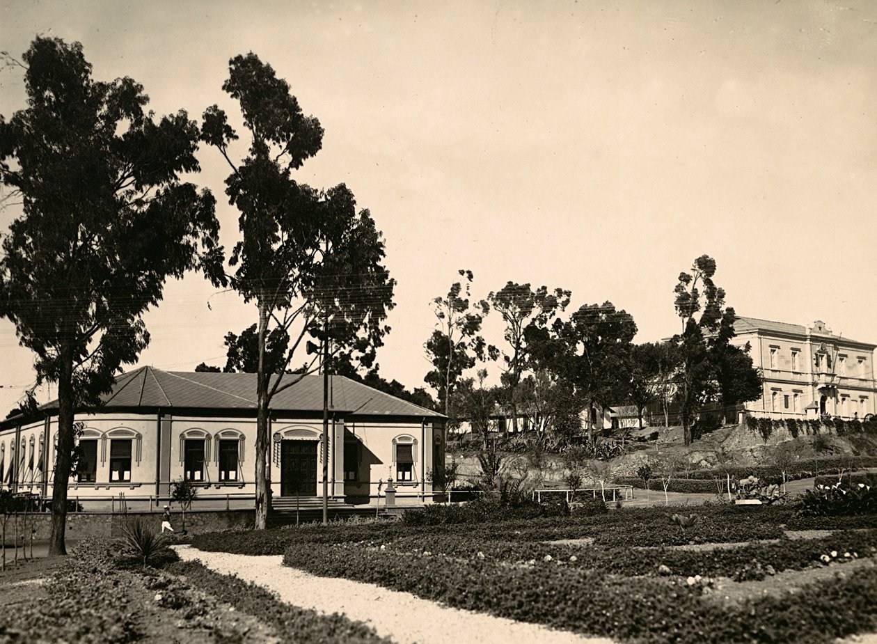 „Budowanie imperium” w epoce faszystowskiej: krąg urzędników w Asmarze, 09.05.1936 (zdjęcie czarno-białe) autorstwa Modestino Baldinetti