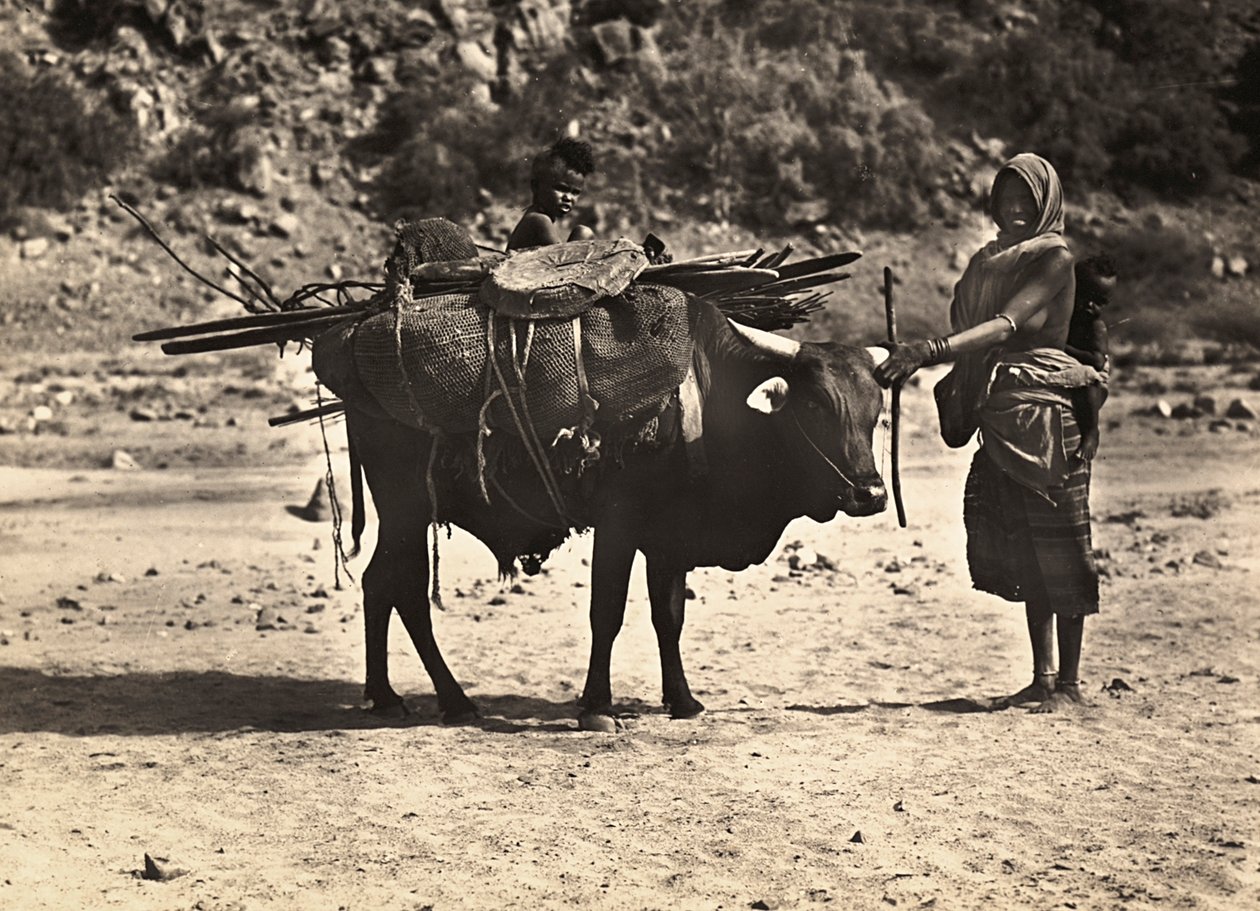 Budowanie imperium w epoce faszystowskiej: nomada, 09.05.1936 (zdjęcie czarno-białe) autorstwa Modestino Baldinetti