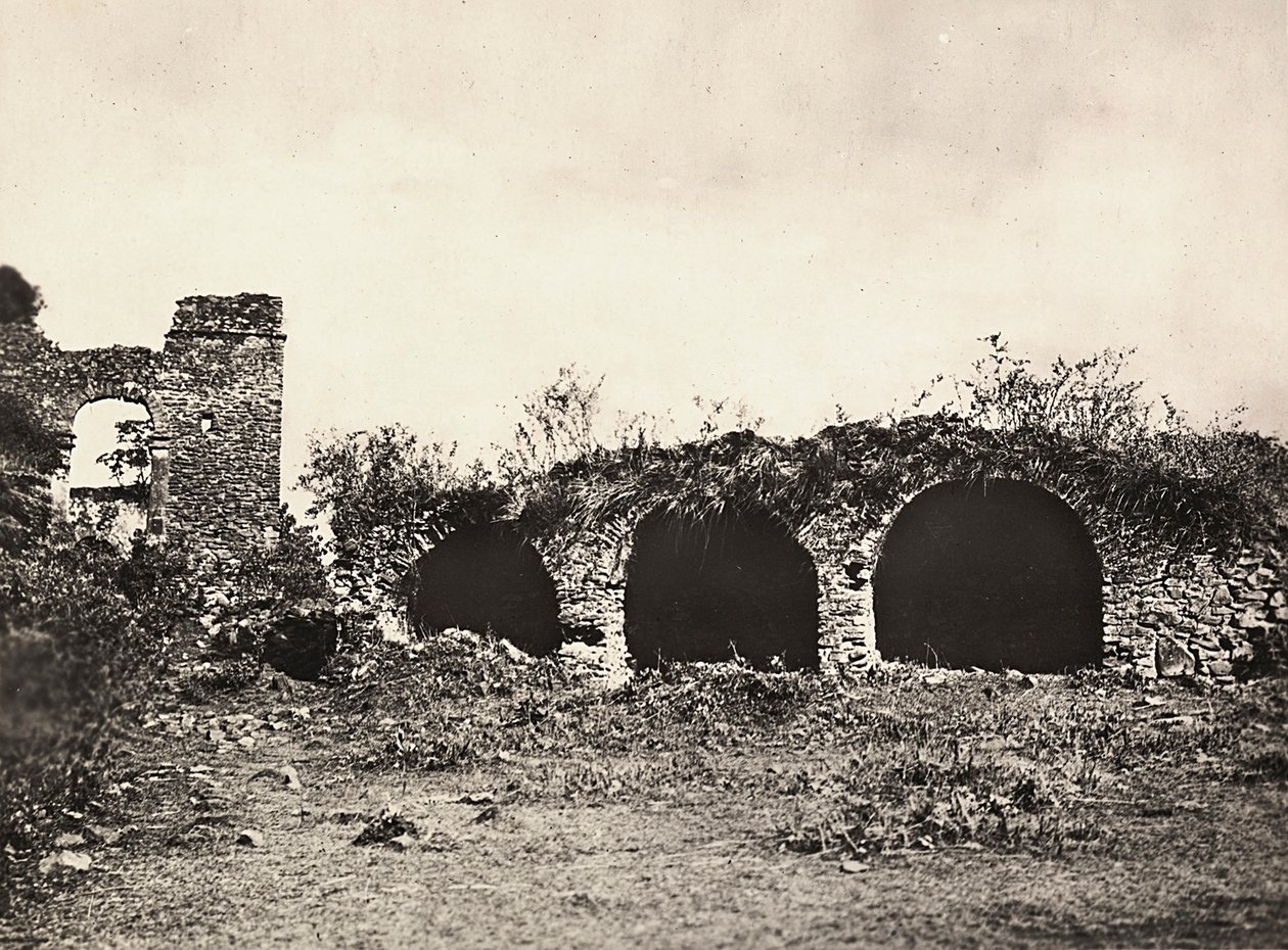 Budowanie imperium w epoce faszystowskiej: rów lwów w zamku króla Fasiladasa w Gondar, Etiopia, 09.05.1936 (zdjęcie czarno-białe) autorstwa Modestino Baldinetti