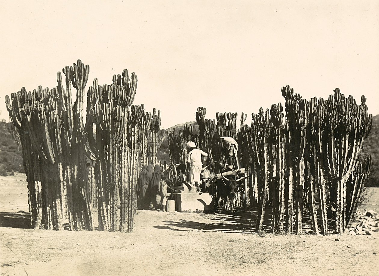 „Budowanie imperium” w epoce faszystowskiej: studnia w Nacfa, 9.05.1936 (zdjęcie czarno-białe) autorstwa Modestino Baldinetti
